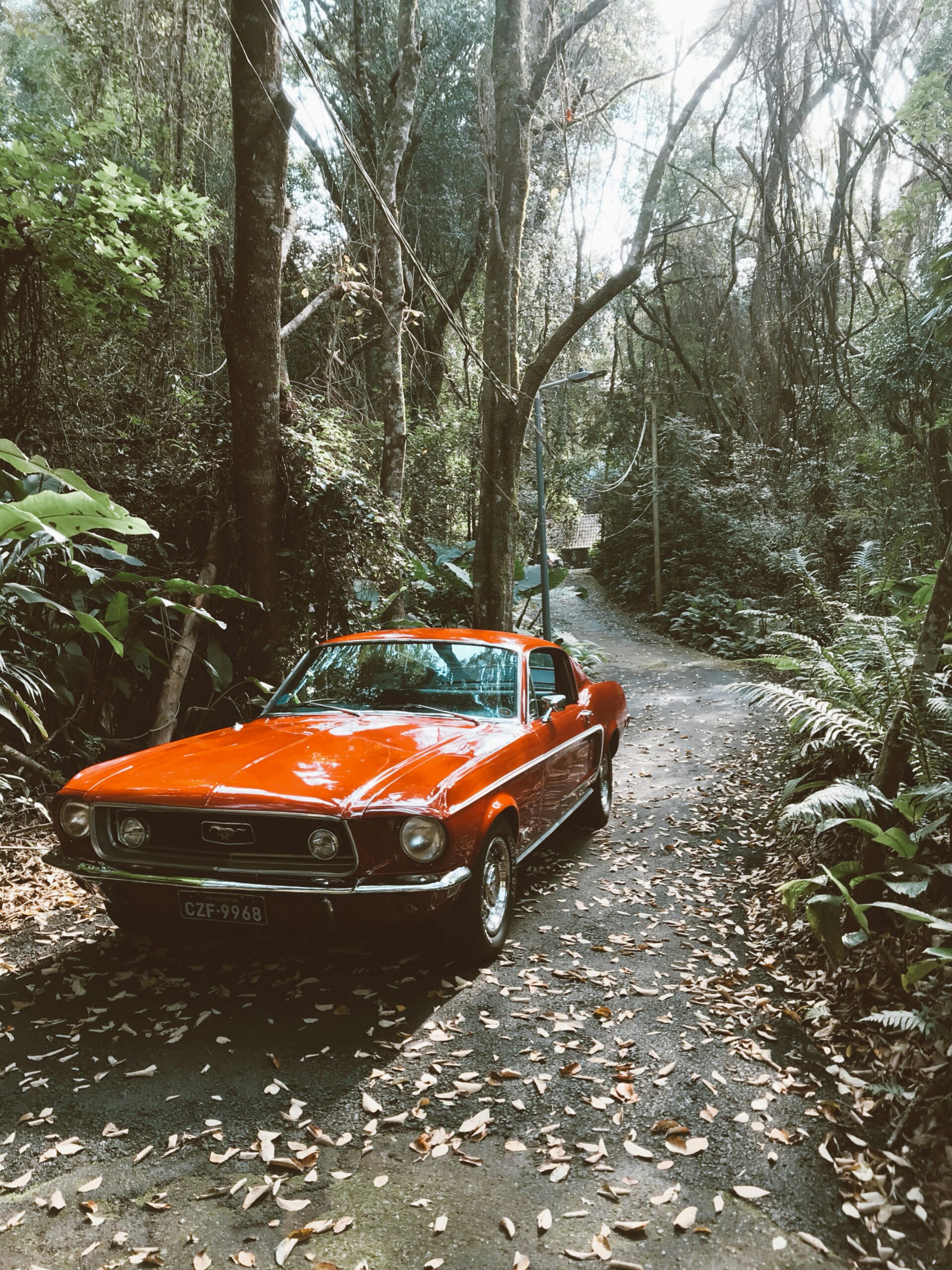 Vintage red car parked on a forest road surrounded by lush greenery.